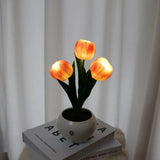 Enchanted Tulip Glow